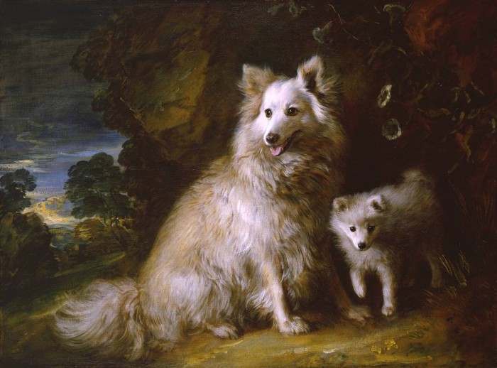 Pomeranian Bitch and Puppy circa 1777 by Thomas Gainsborough 1727-1788